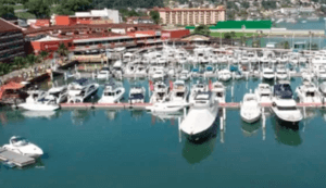 marina-1